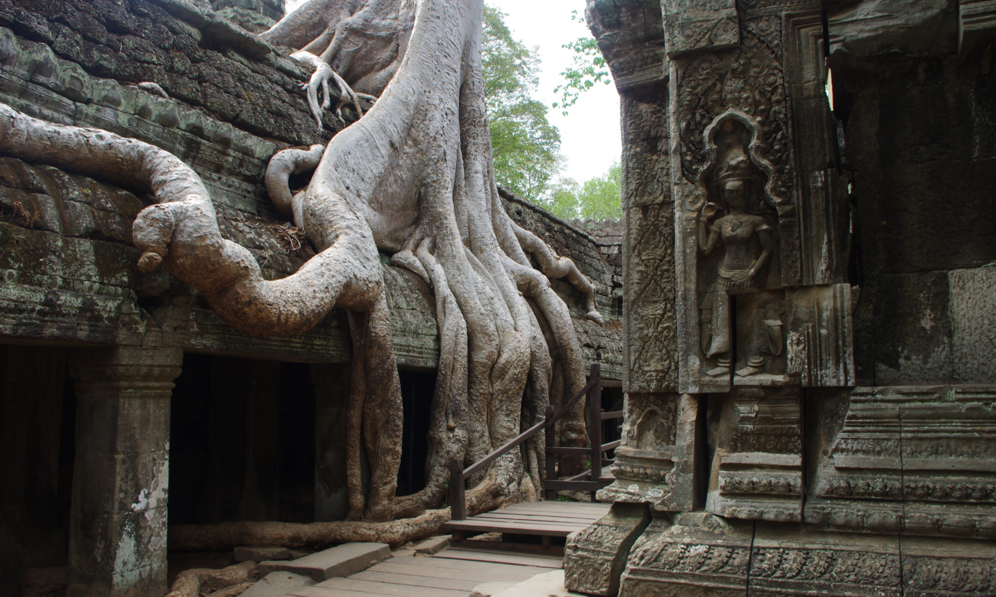 タ プローム Ta Prohm 海外一人旅の記録 タ プローム Ta Prohm 海外一人旅の記録